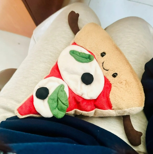 Hamburger pizza ornament gift  - огляд і ціна Home Textiles Today